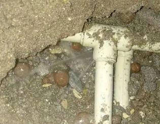 金明卫生间测漏