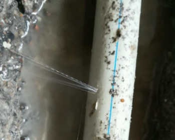 金明卫生间测漏水多少钱